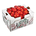 Fresh Roma Tomatoes