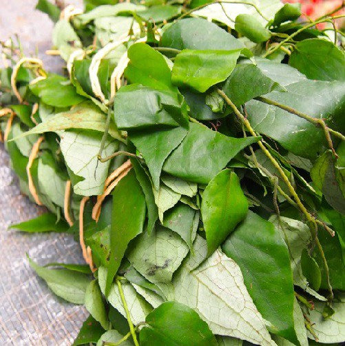 Uziza Leaf
