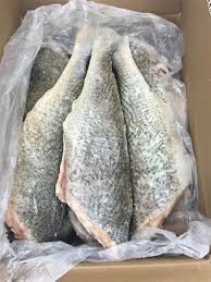 All FISH Protein Package