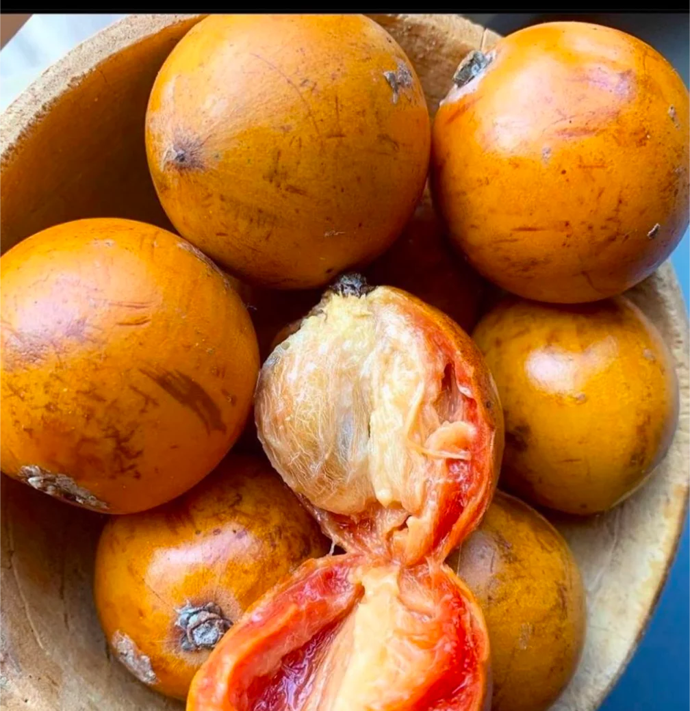 Agbalumo Ajase