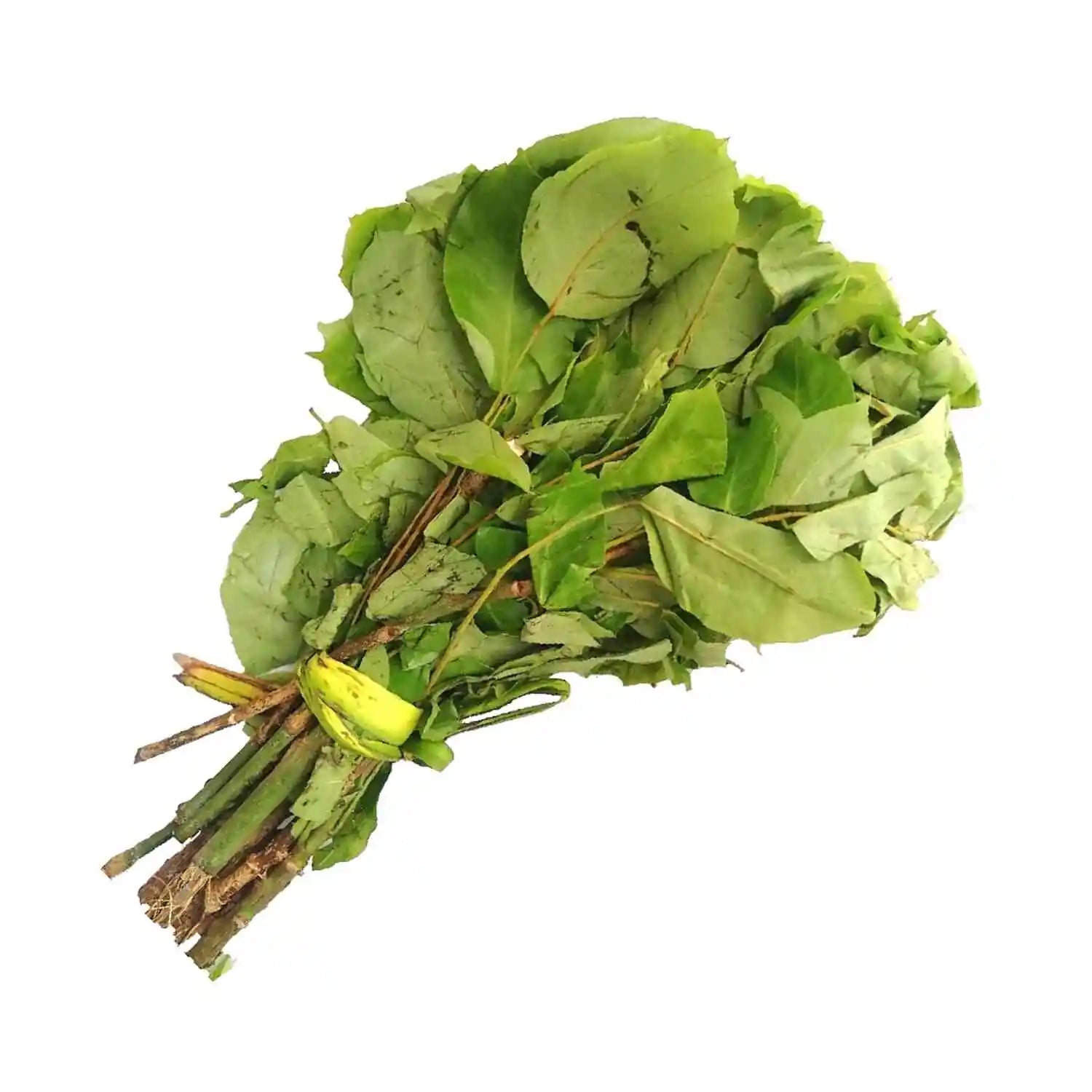 Fresh Oha Leaf