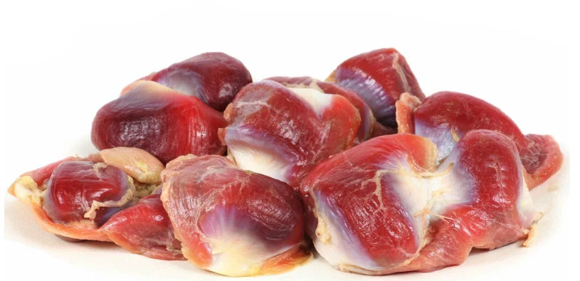 Chicken Gizzard